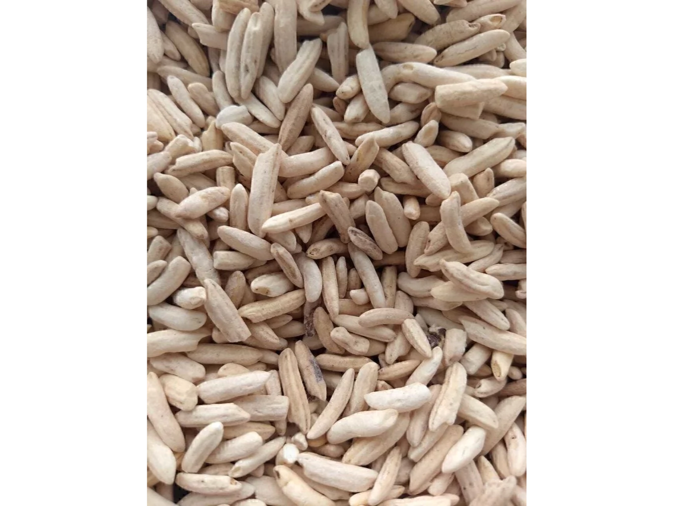 ARROZ INF. AZUCARADO