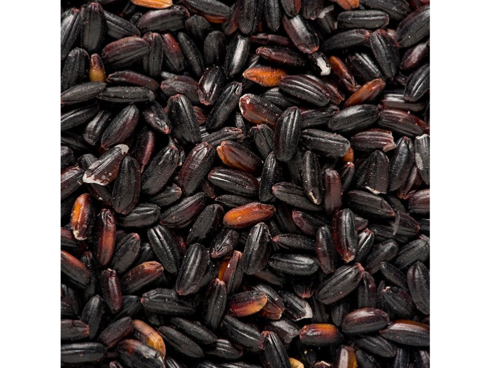 ARROZ NEGRO (SALVAJE)