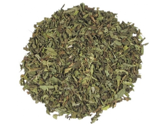MENTA