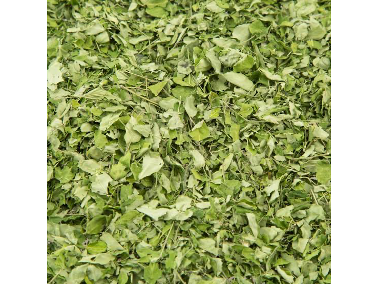 MORINGA