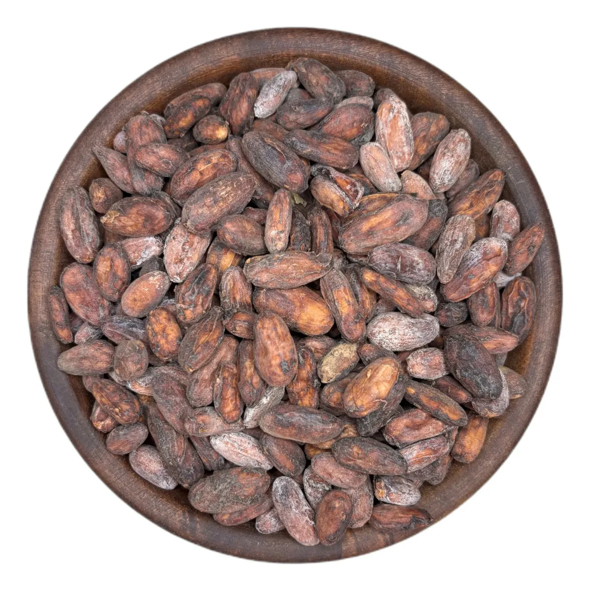 SEMILLA DE CACAO