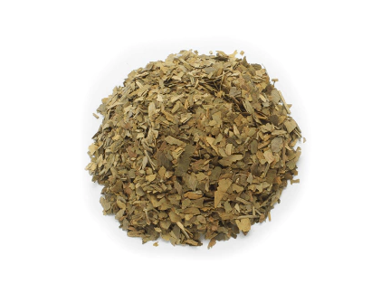 GINKO BILOBA
