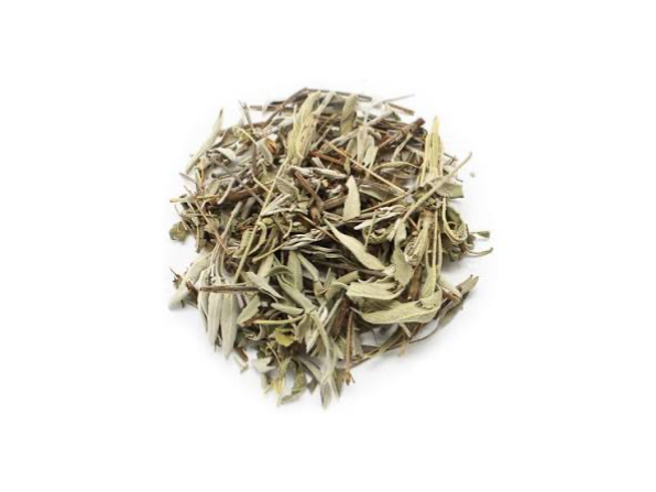 SALVIA EN HOJAS