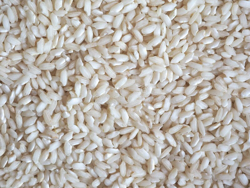 ARROZ CARNAROLI