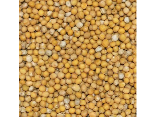 MOSTAZA EN GRANO