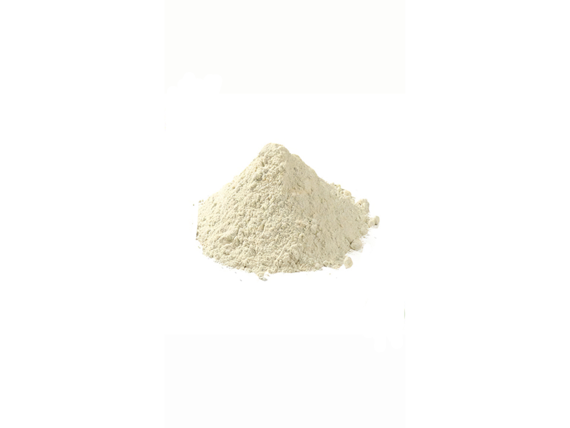 SOJA EN POLVO